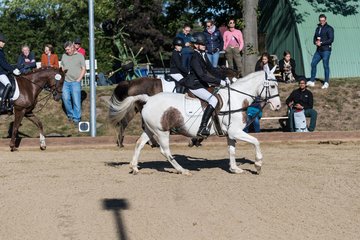 Bild 95 - Pony Akademie Turnier